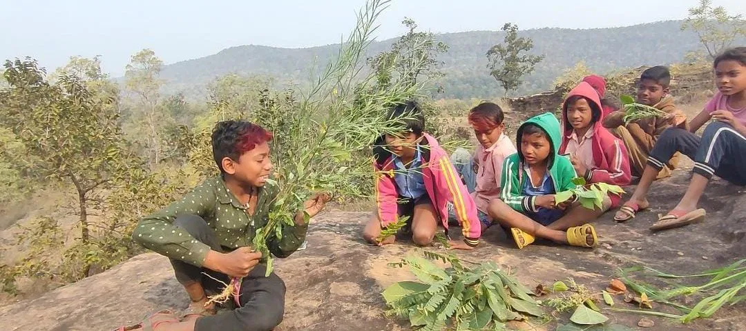 Children observing diversity among leaves